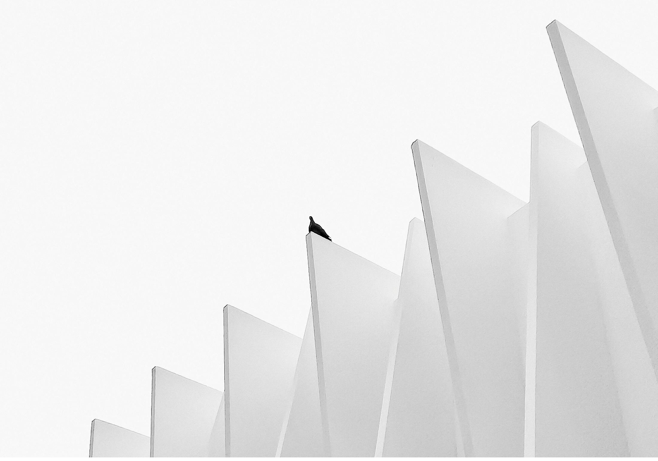 Bird perched on geometric white structure.