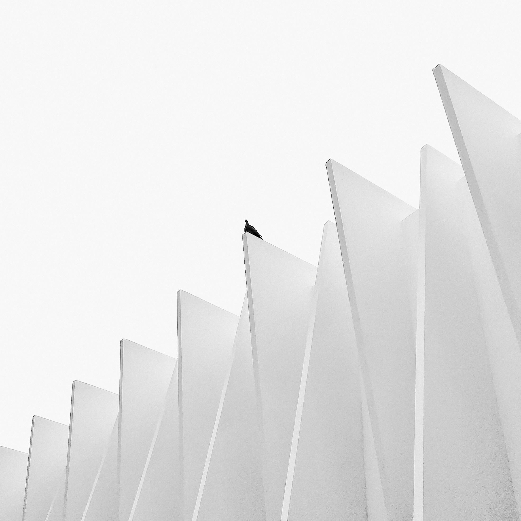 Bird on modern angular building roof